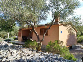 Holiday house 